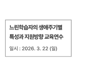 느린학습자의 생애주기별 특성과 지원방향 교육연수